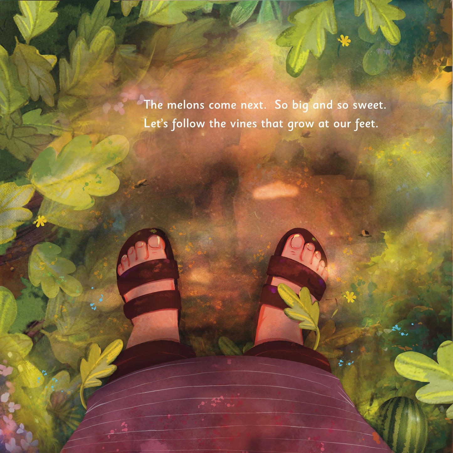 "Benny In The Garden" Hardback Picture Book